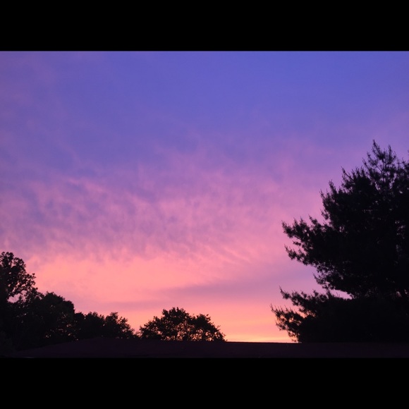 Meet your Posher, Morillea - Picture 1 of 1